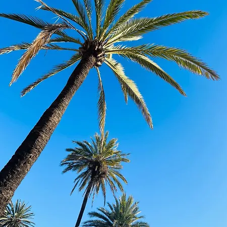 Apartment Penthouse Near Puerto Banus Private Pool Seaview And Mountainview Marbella